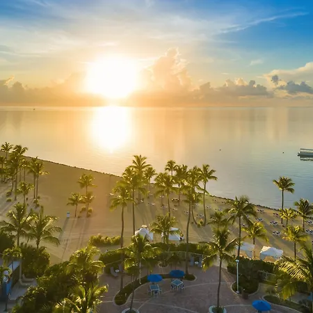 The Islander A Guy Harvey Outpost Resort